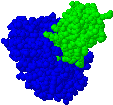 Trypsin with Inhibitor (2PTC)